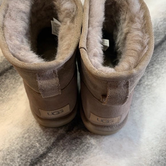 short uggs caribou